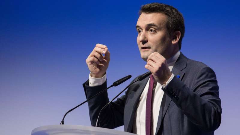 Французский политик прокомментировал решение по АдГ, принятое в Германии