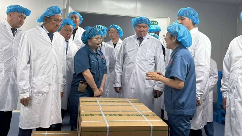 Китай построит фармзавод в Казахстане