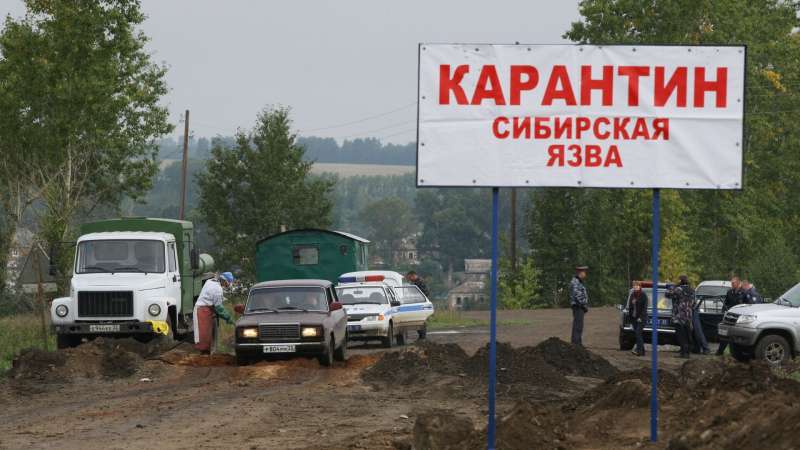 Заражение людей сибирской язвой зафиксировали в Акмолинской области