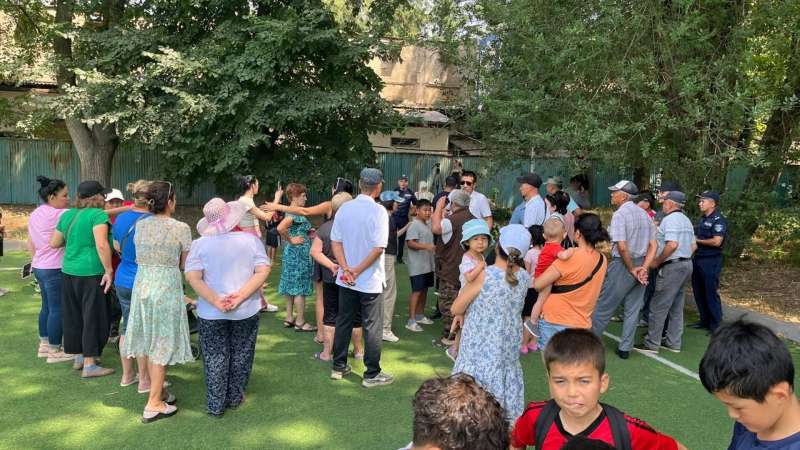 На 11-летнего мальчика напали собаки в Алматинской области